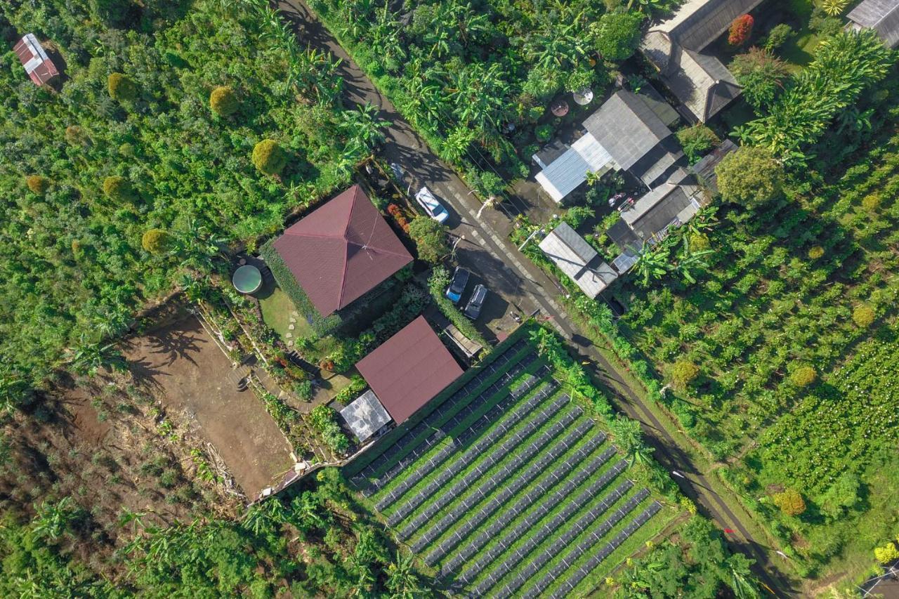 Villa Kayukopi Munduk Esterno foto